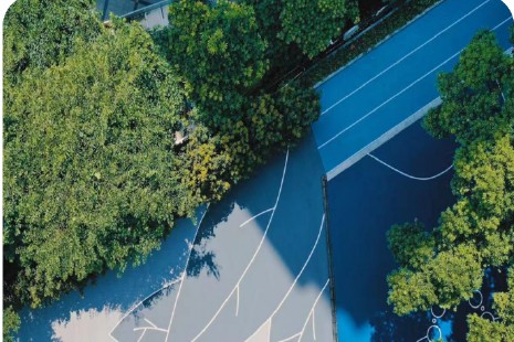 Blue public path and recreation surface winding through mature trees